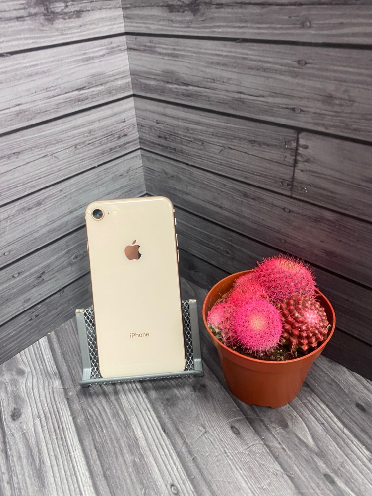 Смартфон iPhone 8 64 Gb
