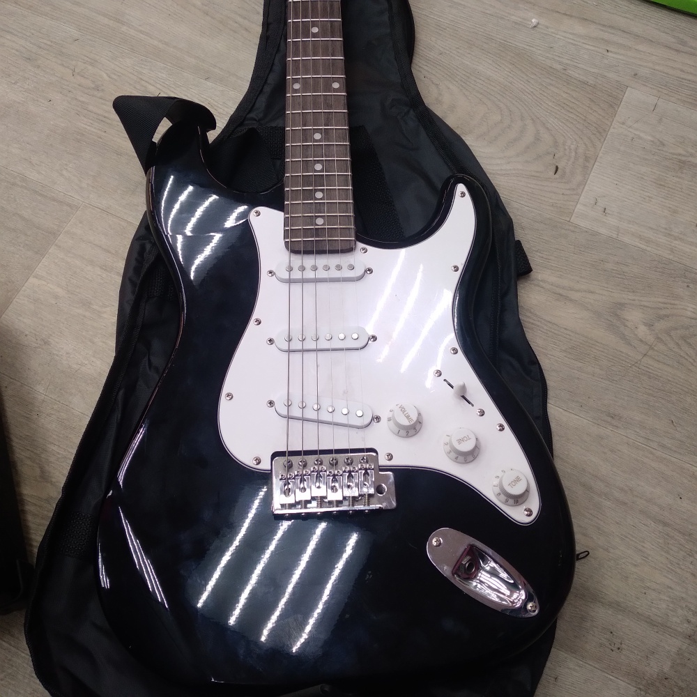 Электрогитара Terris