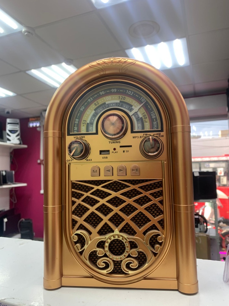 Колонка Raiseng 