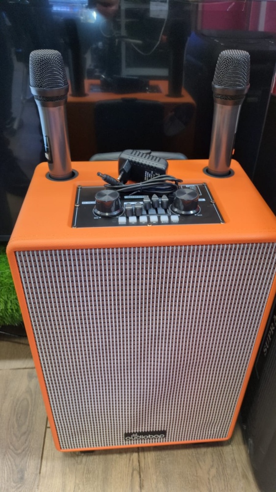 Акустика OUDIO