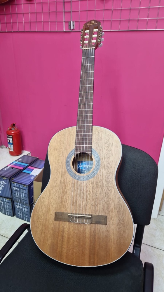 Гитара Livingstone