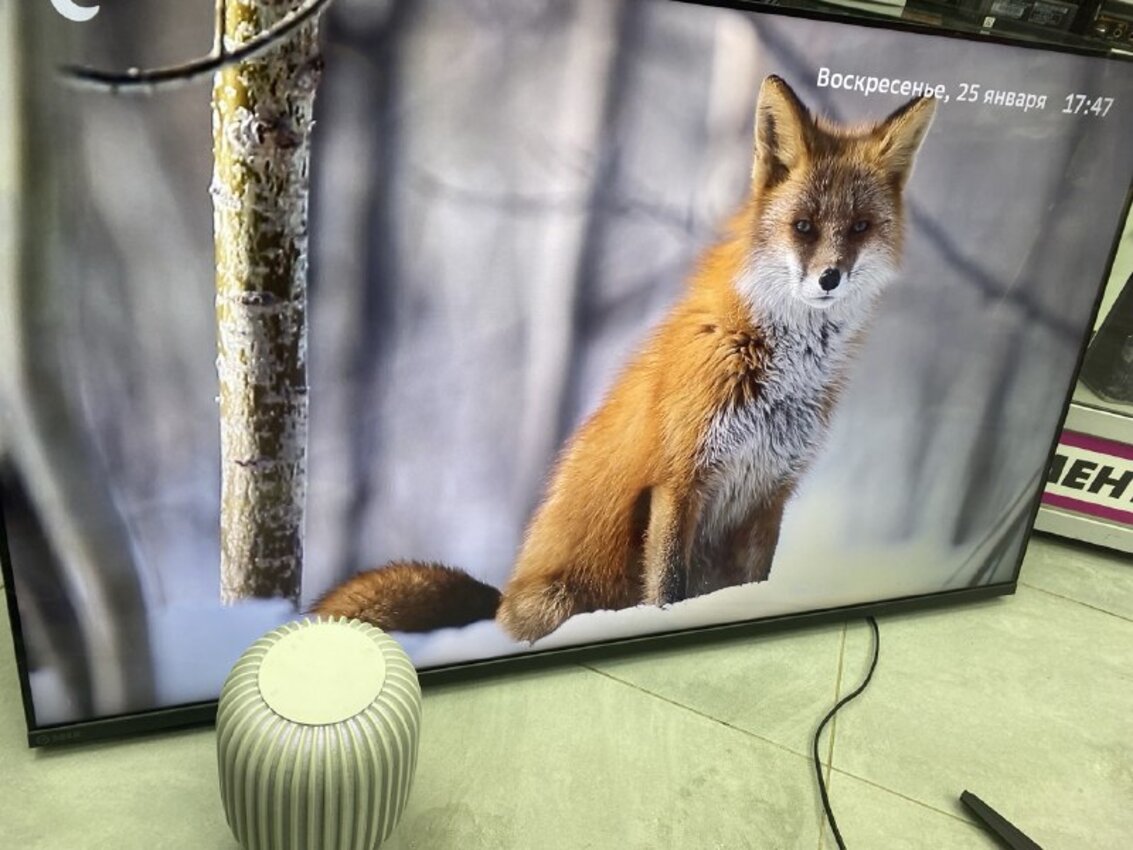 Телевизор Sber SDX-50UQ5235