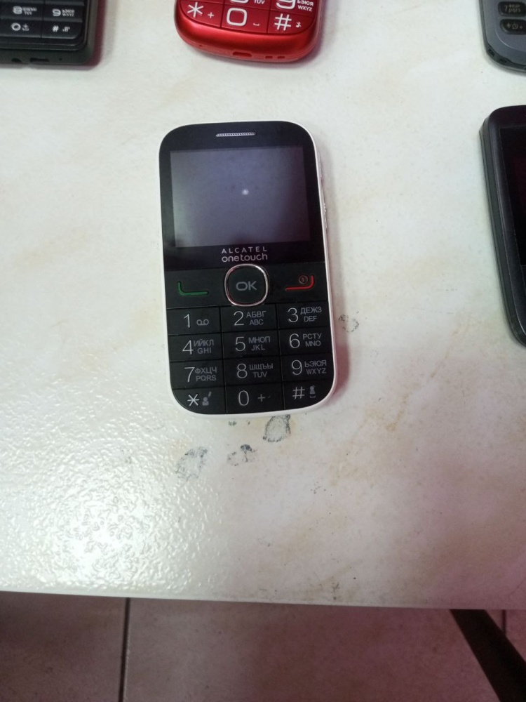 Мобильный телефон Alcatel 2004g