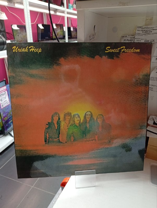 Виниловая пластинка